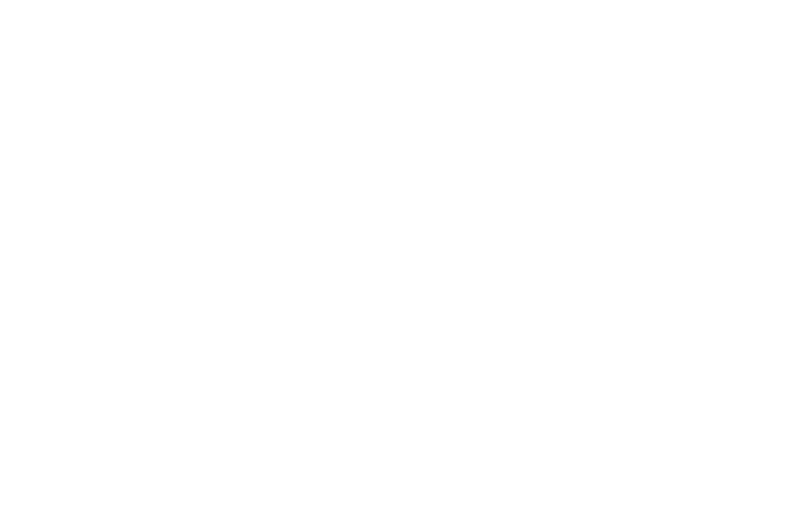 Eagle Home Appraisal Birmingham Logo White